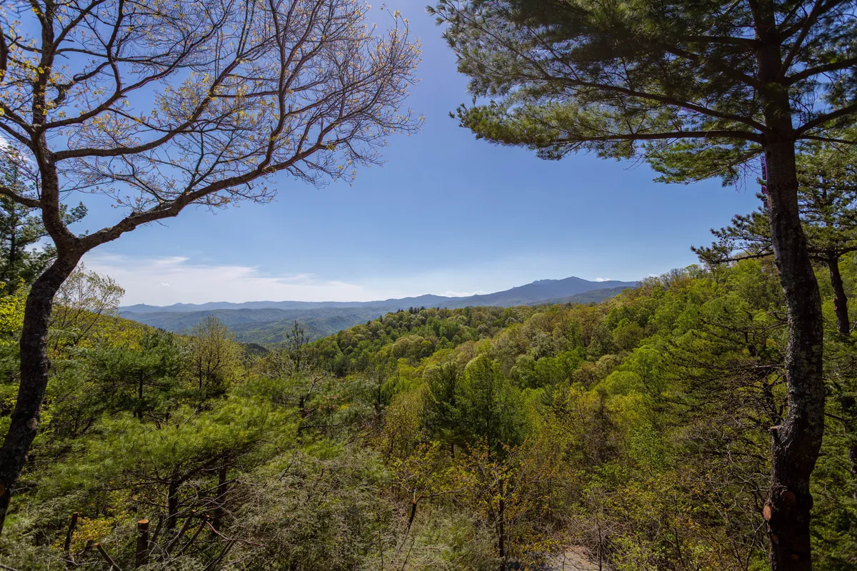 A sweeping view of the mountain range and lush greenery under a clear blue sky. The scene is serene, expansive, and visually stunning, capturing the breathtaking vistas that define the setting around Angel’s Envy.