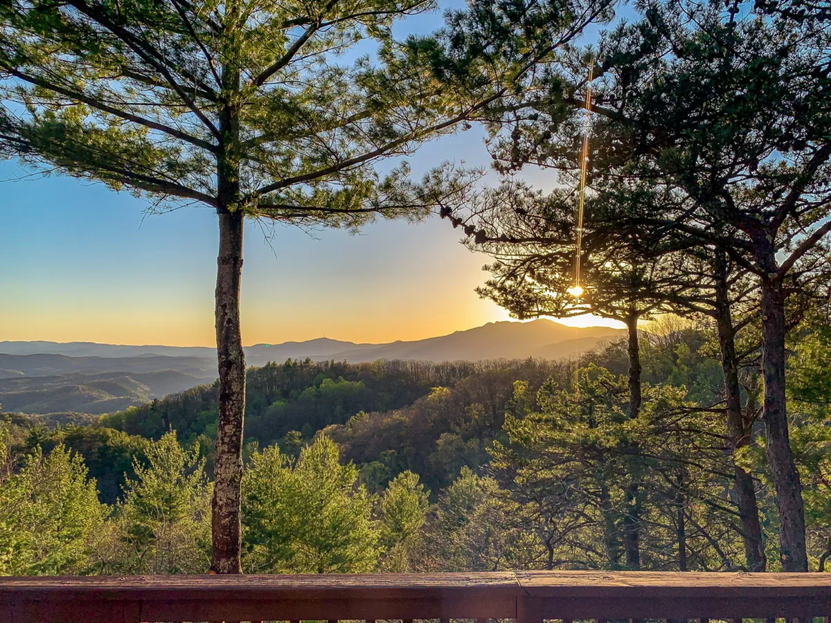 A classic mountain view framed by tall trees, with a golden sunset glow illuminating distant peaks. The foreground suggests proximity to nature and the possibility of wildlife sightings, while the colors evoke serenity and adventure.